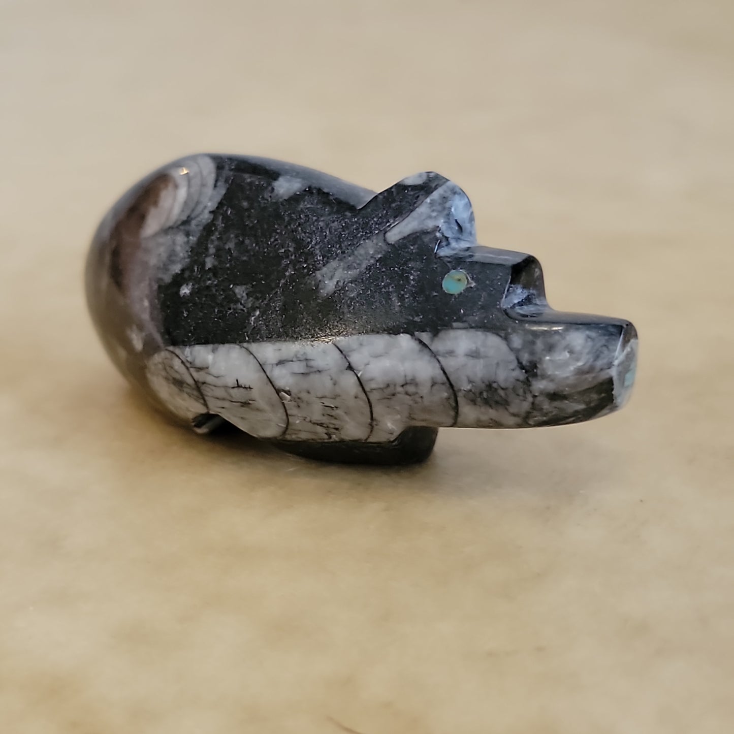 Bernard Laiwakete Ammonite Bear Zuni Fetish