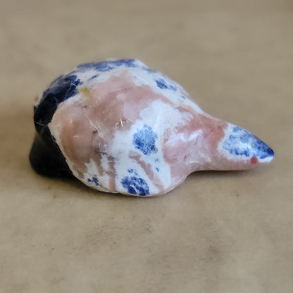 Sodalite Turtle/ Tortoise Zuni Fetish