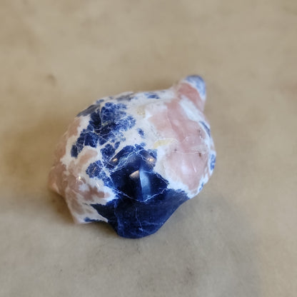 Sodalite Turtle/ Tortoise Zuni Fetish