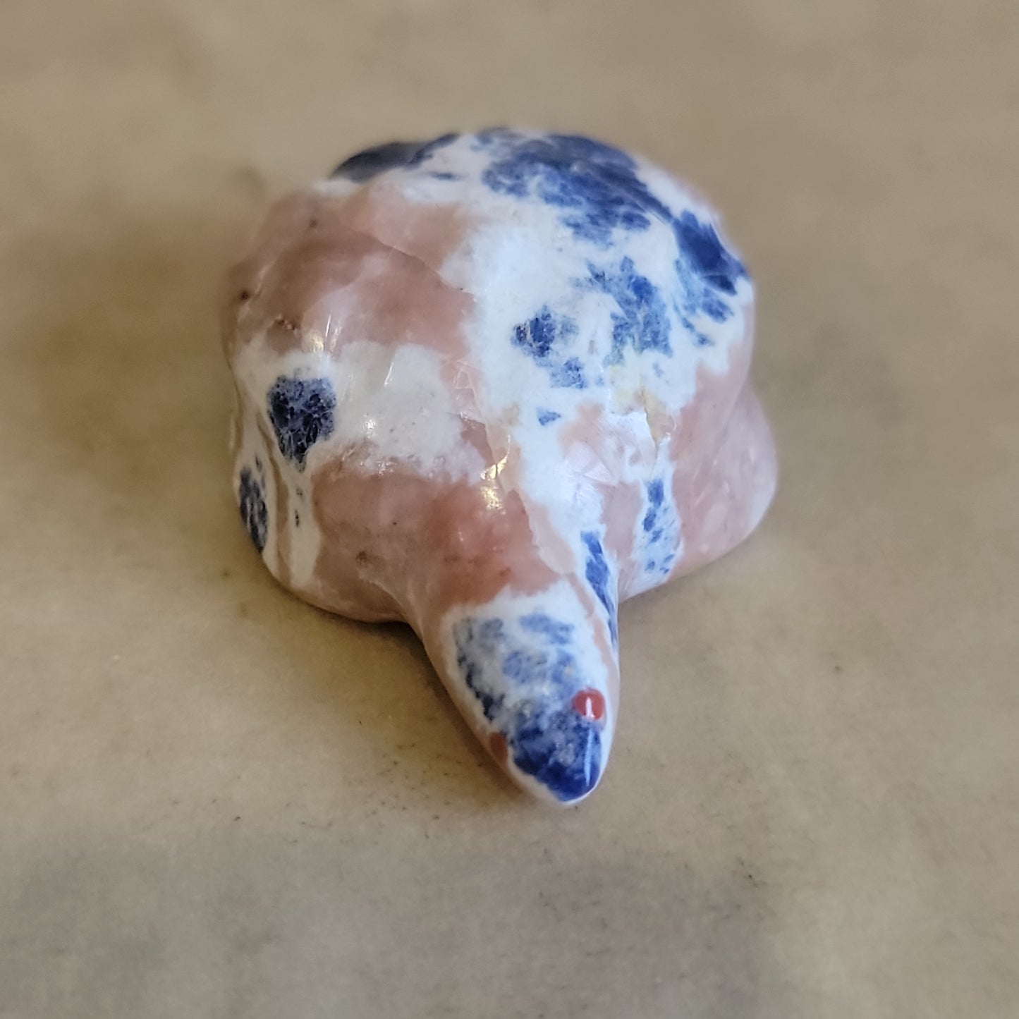 Sodalite Turtle/ Tortoise Zuni Fetish