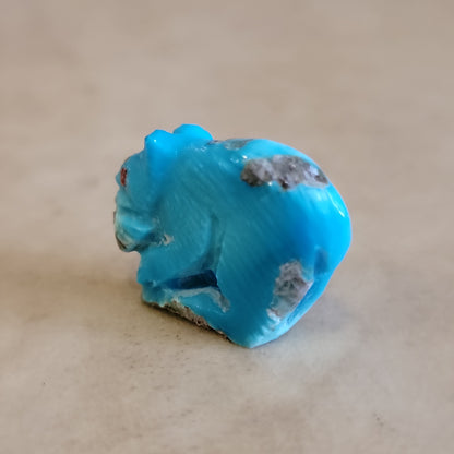 Mini Turquoise Bear w/ Fish Zuni Fetish