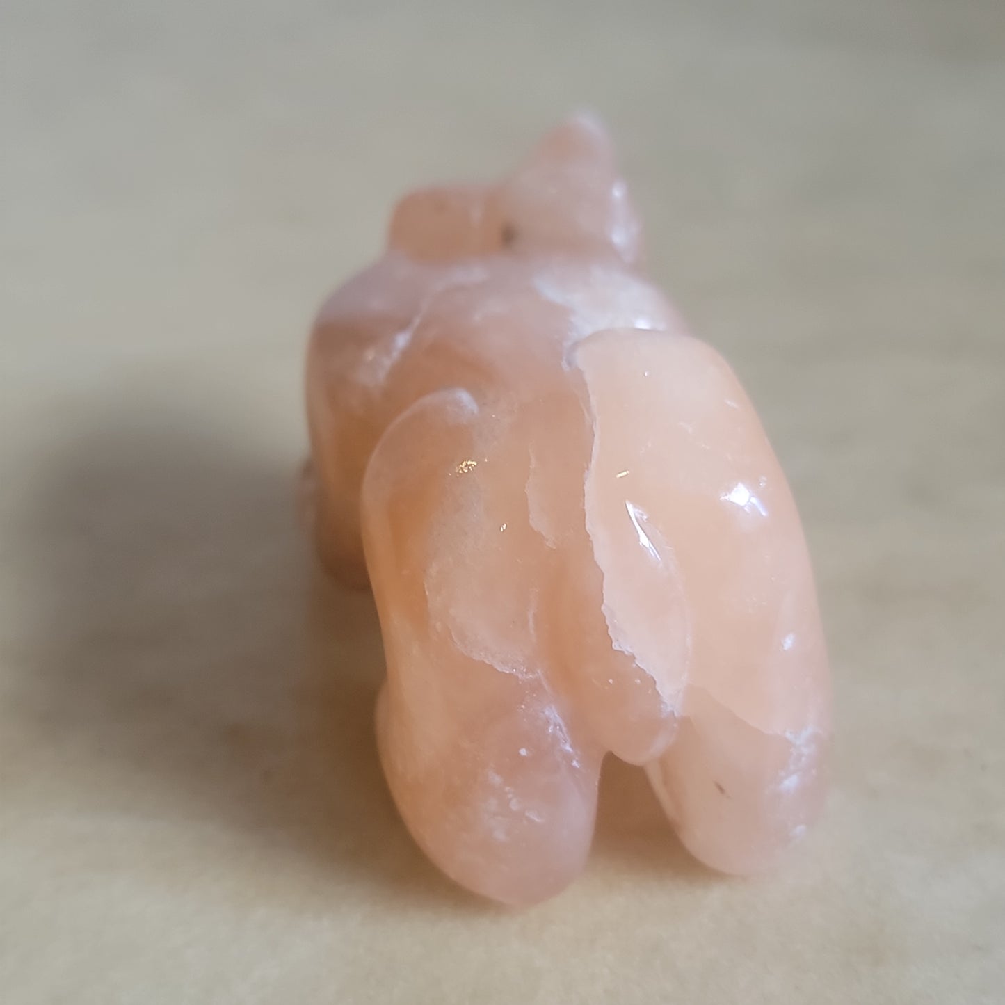 Alabaster Zuni Bear W/Bowl Fetish Bear