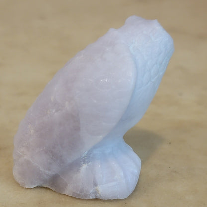 Fluorite Zuni Fetish Owl