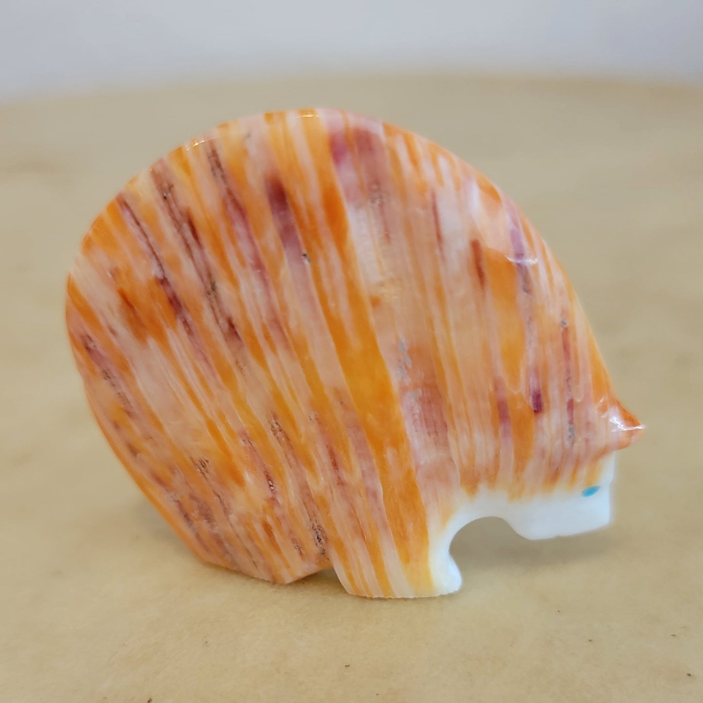 Stewart Quandelacy "Sunset" Spiny Oyster Shell Zuni Fetish Medicine Bear