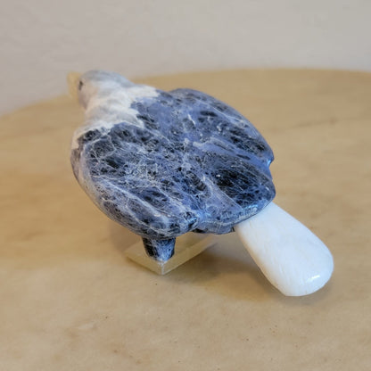 Sodalite Eagle Zuni Fetish