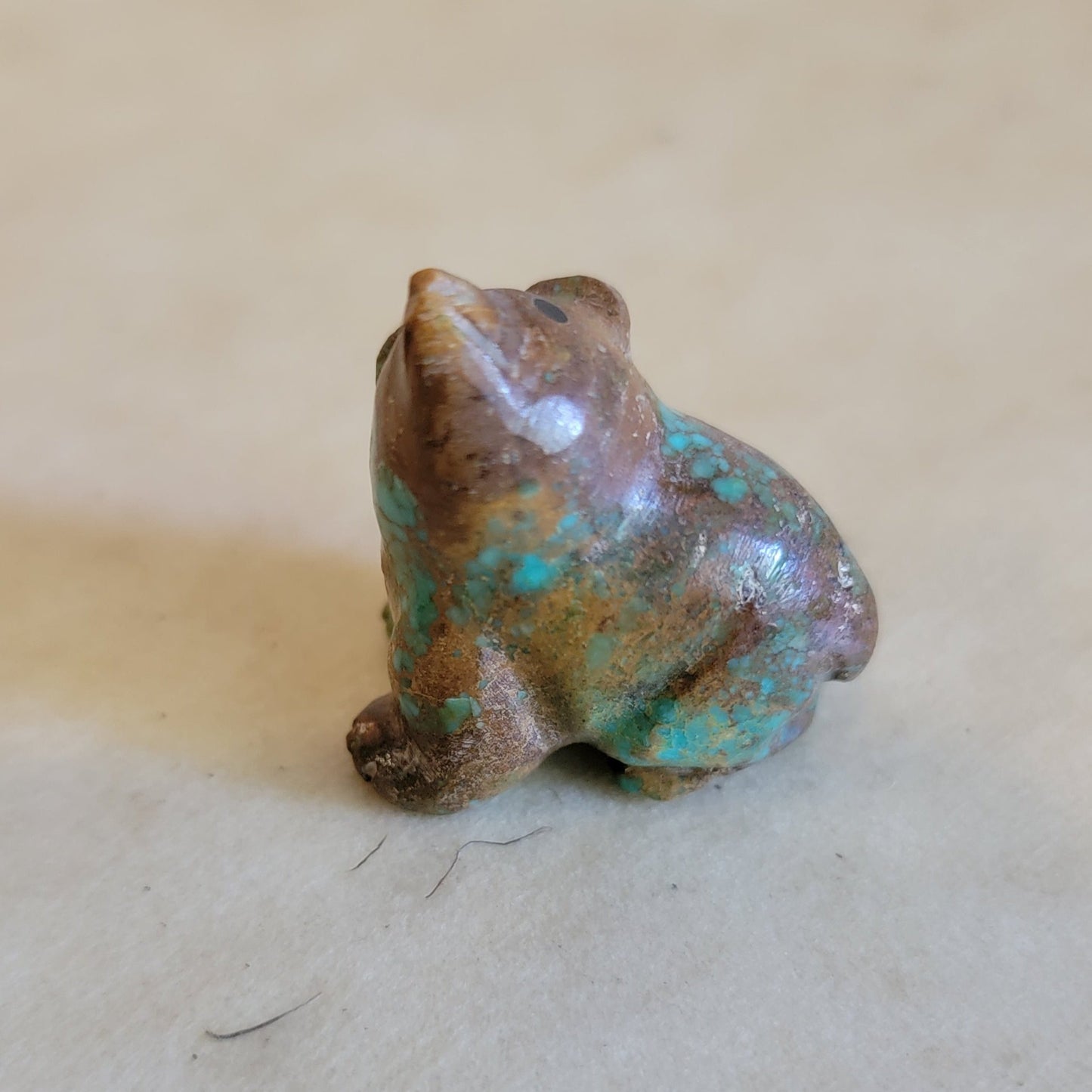 Turquoise Navajo Bear Cub Zuni Fetish