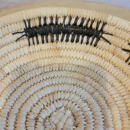 Centipede Papago/Tohono O'Odham Indian Basket