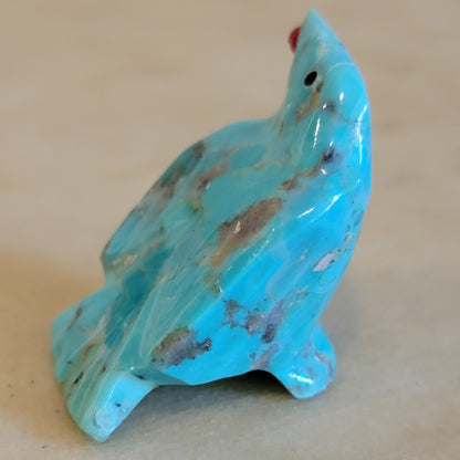 Turquoise Raven w/ Berry in Mouth Zuni Fetish