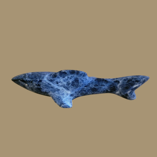 Sodalite Shark w/Silver Eyes Zuni Fetish