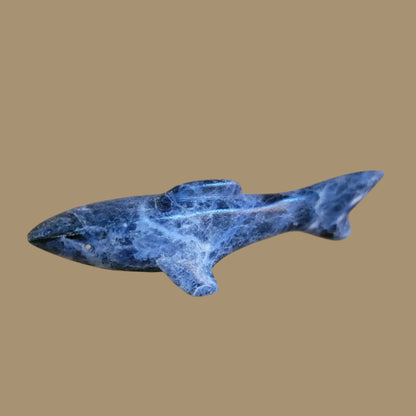 Sodalite Shark w/Silver Eyes Zuni Fetish