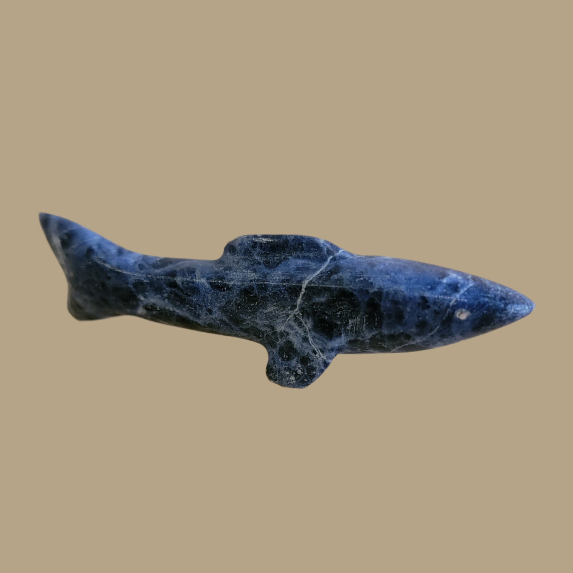 Sodalite Shark w/Silver Eyes Zuni Fetish