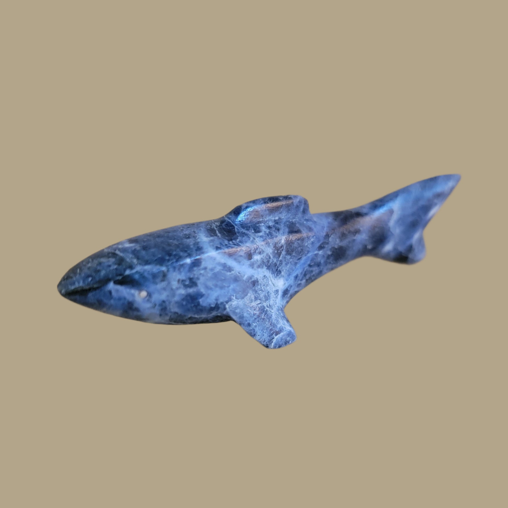 Sodalite Shark w/Silver Eyes Zuni Fetish