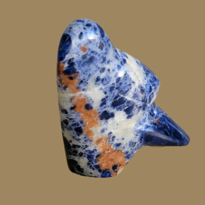 Colorful Sodalite Messenger Bird Zuni Fetish