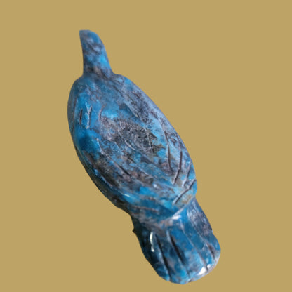 Elegant Chrysocolla Eagle/ Messenger to the Divine Zuni Fetish