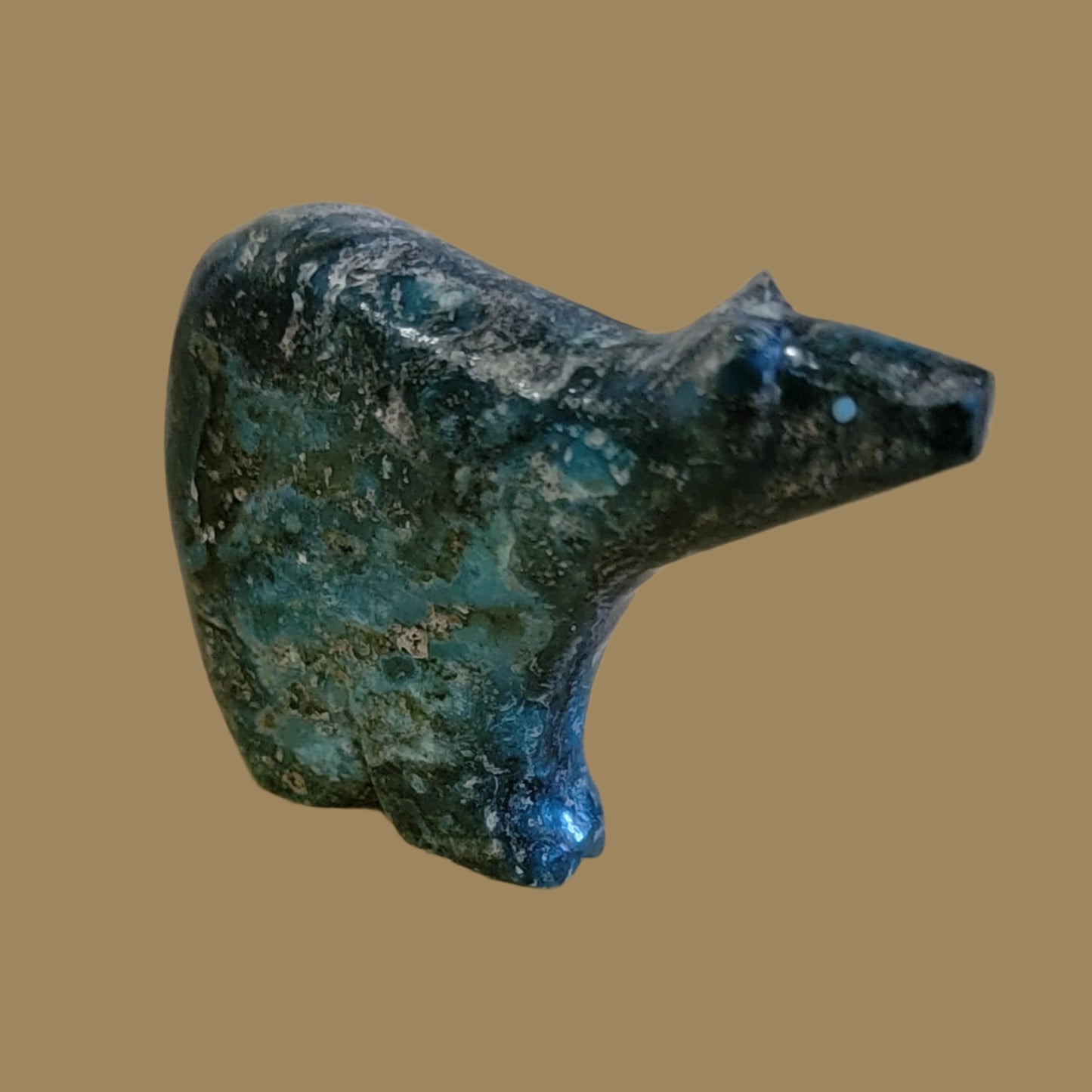 Elegant Chrysocolla Medicine Bear Zuni Fetish