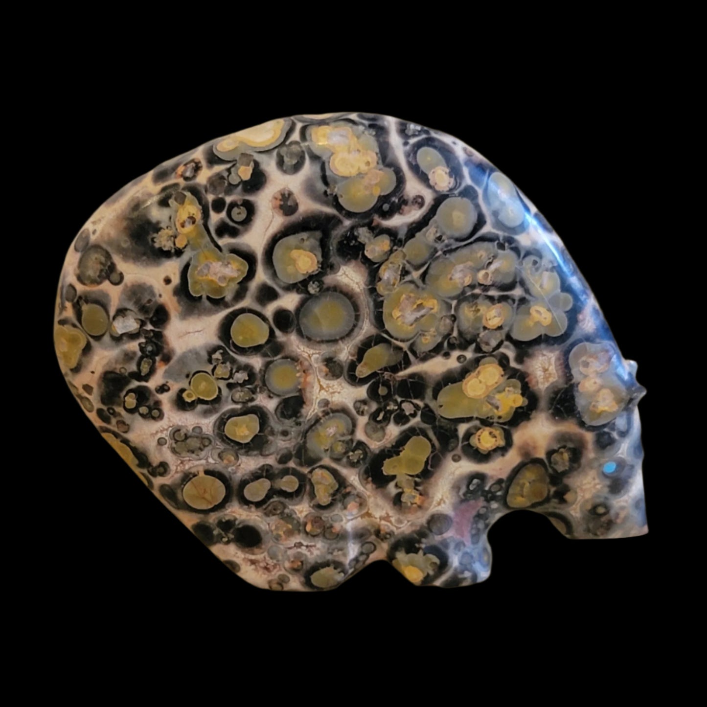 Leopard Stone Jasper Zuni Fetish Medicine Bear