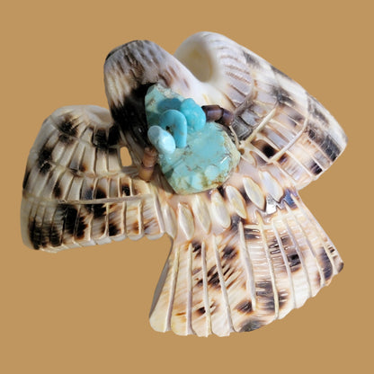 Cowrie Shell Eagle with Turquoise Pack Zuni Fetish