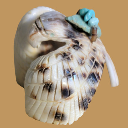 Cowrie Shell Eagle with Turquoise Pack Zuni Fetish