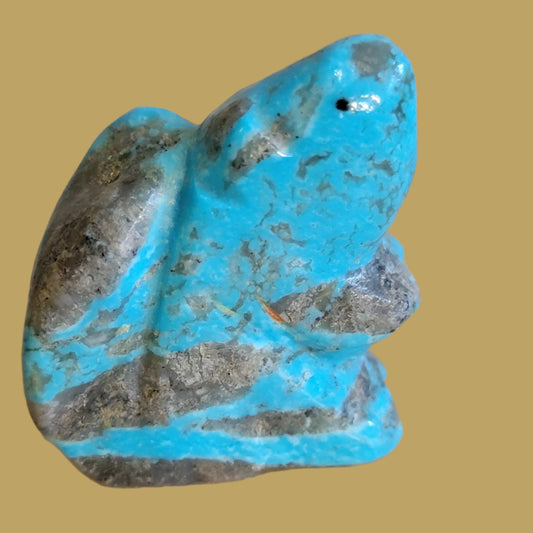 Turquoise Squirrel Zuni Fetish