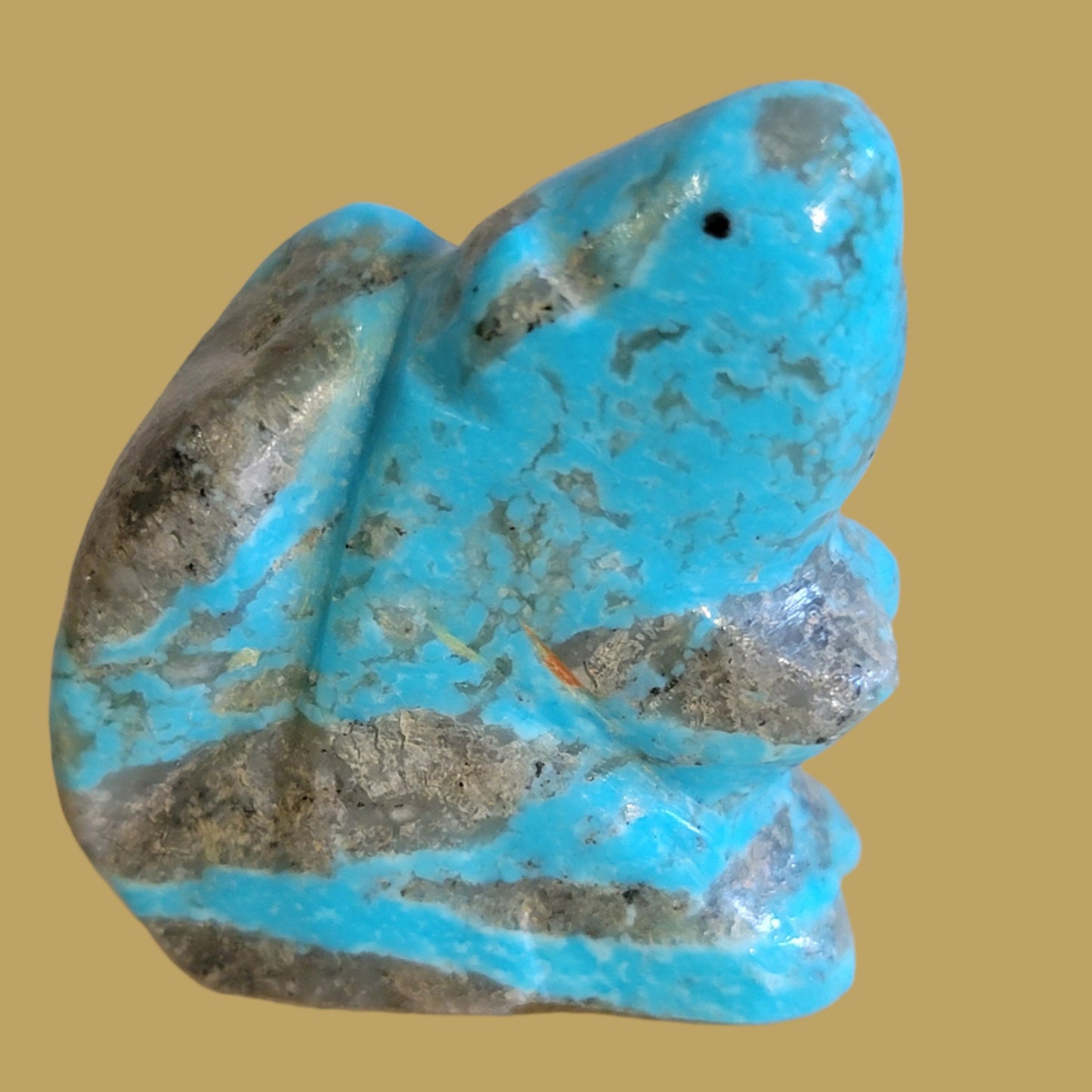 Turquoise Squirrel Zuni Fetish