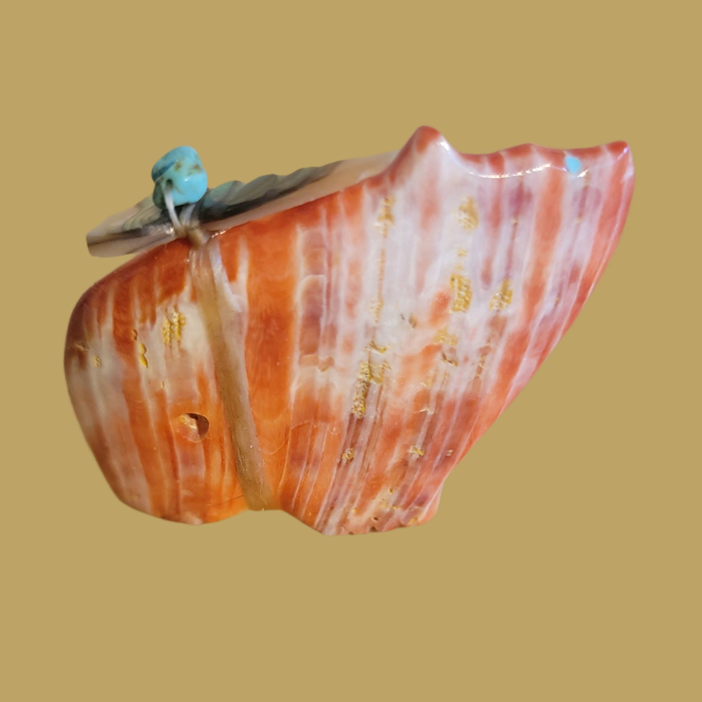Spiny Oyster Shell Bear w/Pack Zuni Fetish