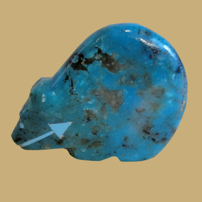 Turquoise Hump Backed Bear Zuni Fetish