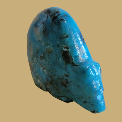 Turquoise Hump Backed Bear Zuni Fetish