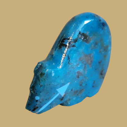 Turquoise Hump Backed Bear Zuni Fetish