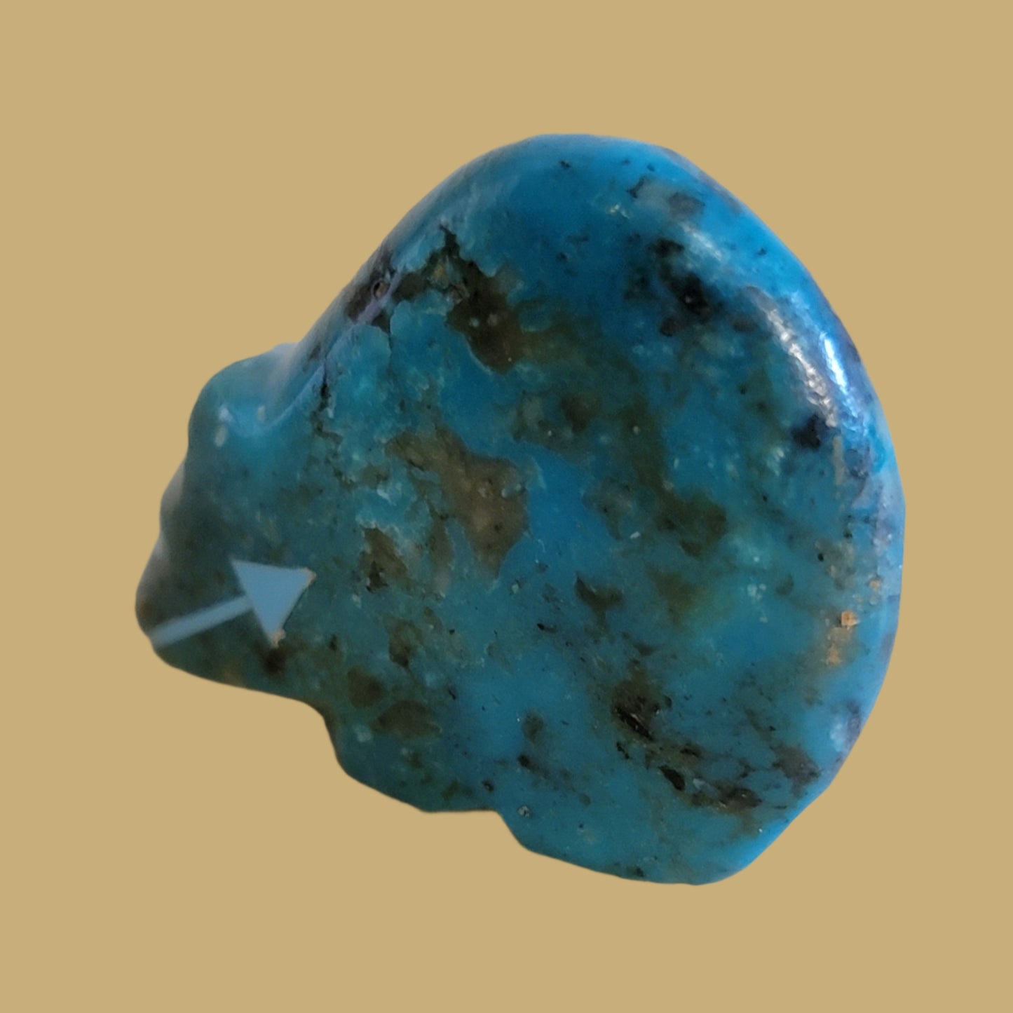 Turquoise Hump Backed Bear Zuni Fetish