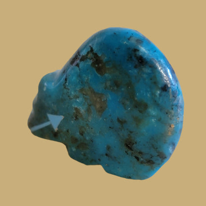 Turquoise Hump Backed Bear Zuni Fetish