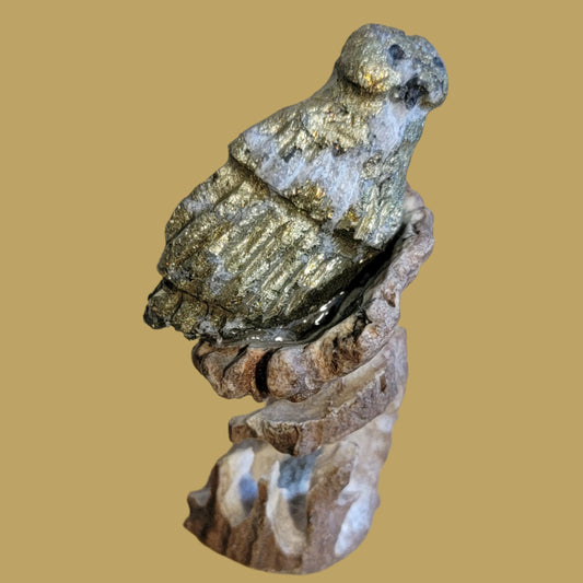 Pyrite Owl in Nest Zuni Fetish