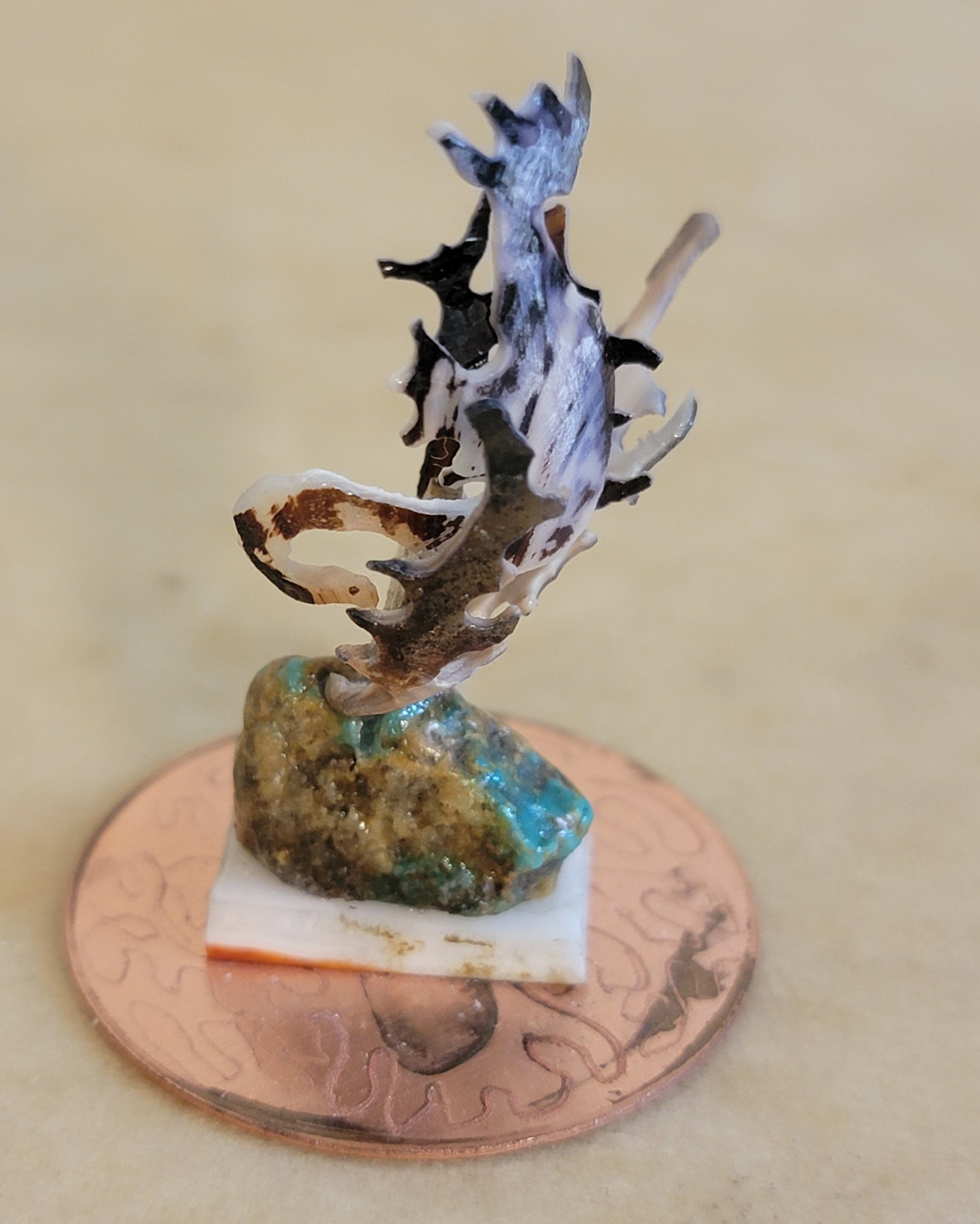 Shell and Copper Seahorse Zuni Fetish