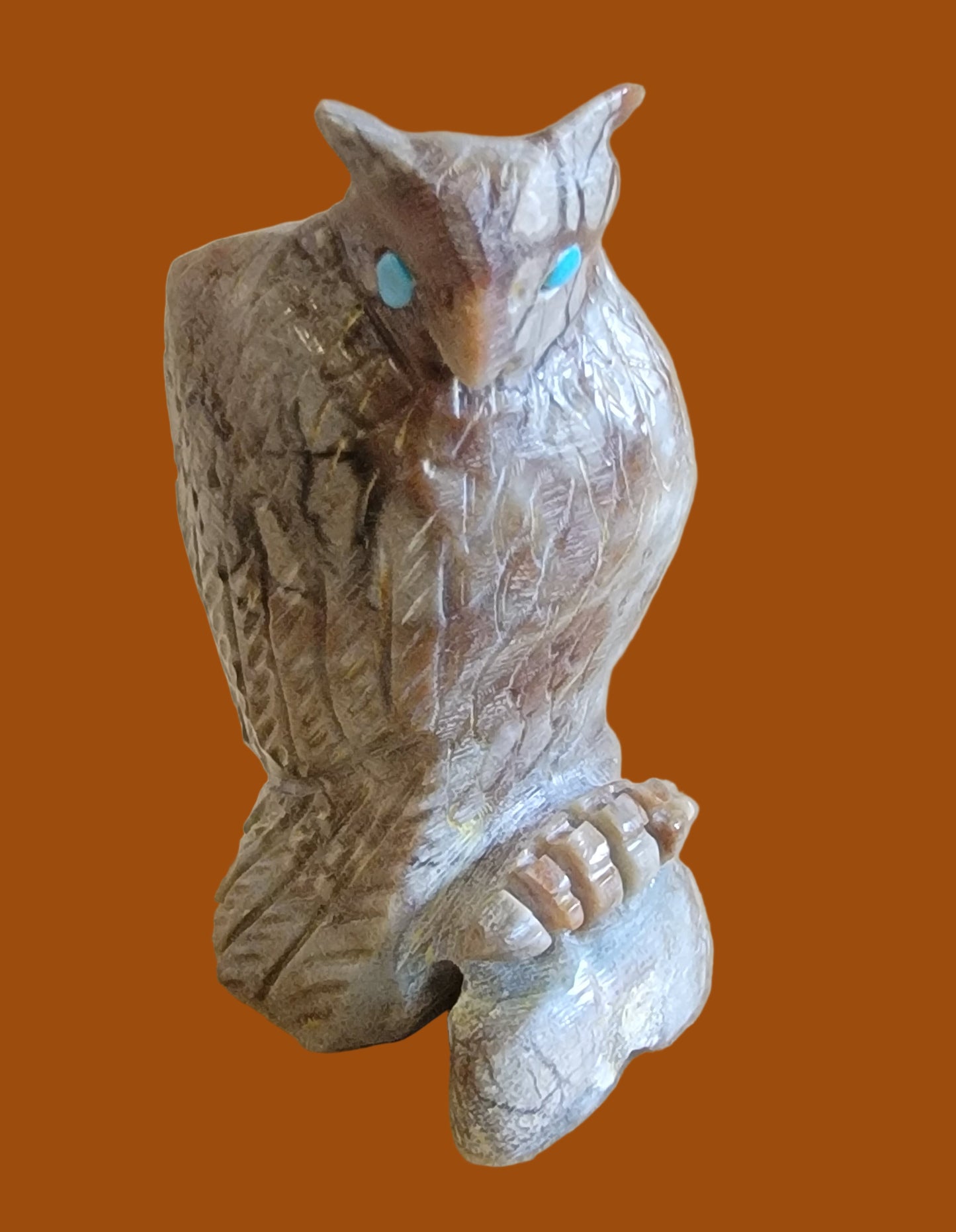 Spooky Owl/Ruler of the Night Skies Zuni Fetish