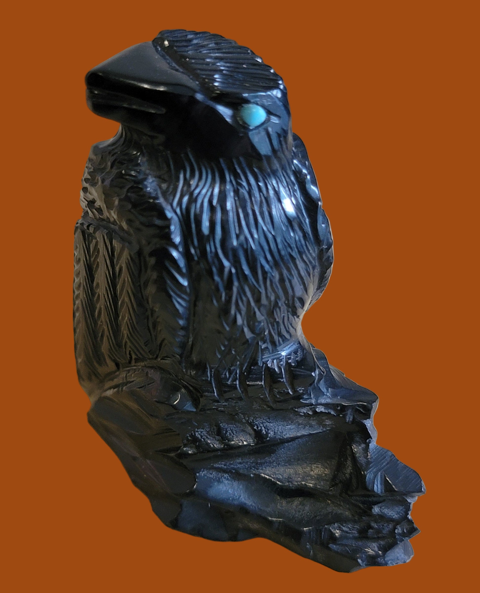 Perched Jet  Raven "Poe Style" Zuni Fetish