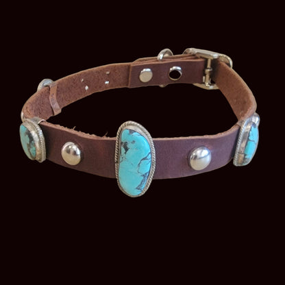Beautiful Turquoise w/Sterling Leather Dog Collar For the "Dog Who Has Everything!" Indian Jewelry