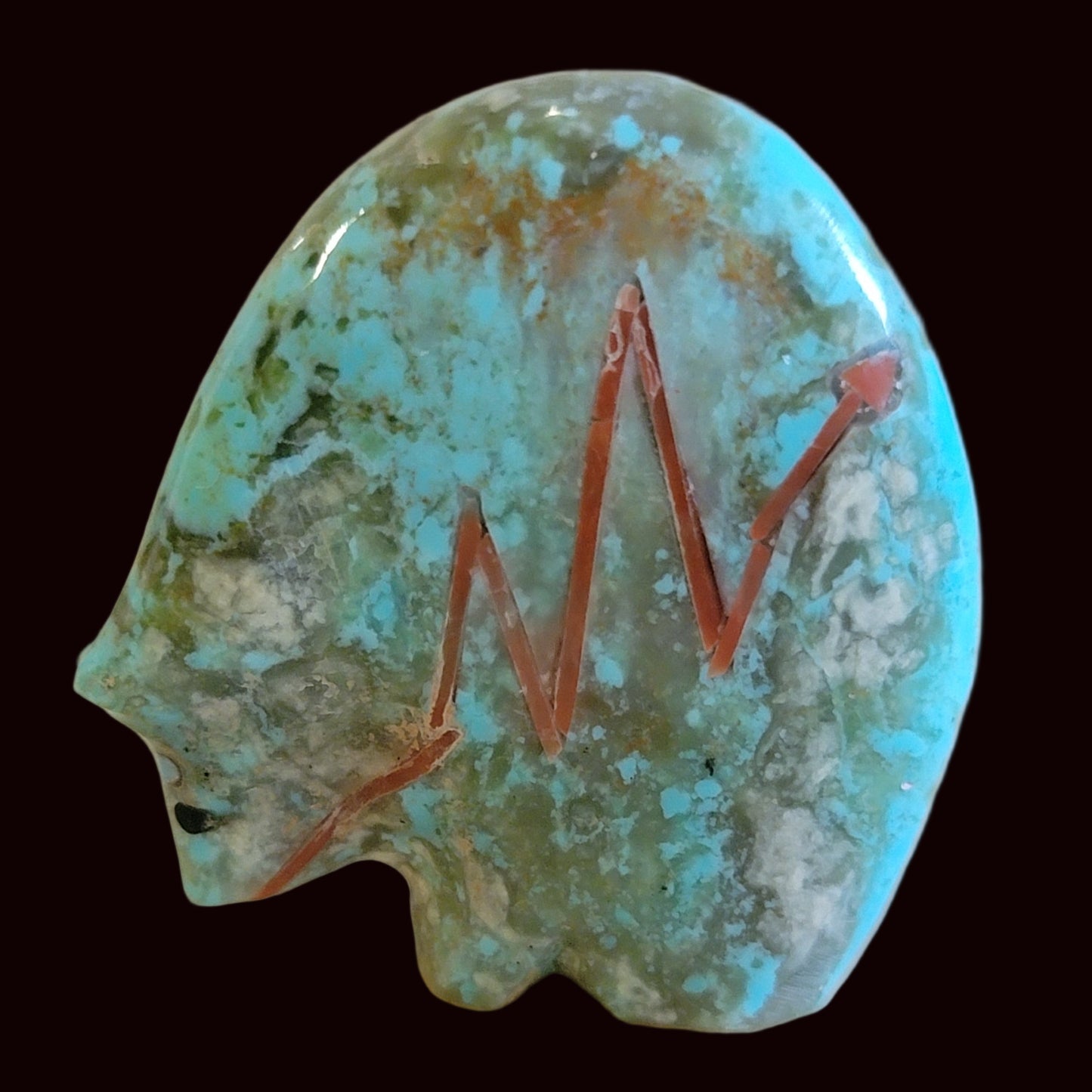 Turquoise Medicine Bear w/Coral Heartline Zuni Fetish