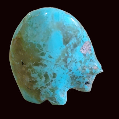 Turquoise Medicine Bear w/Coral Heartline Zuni Fetish