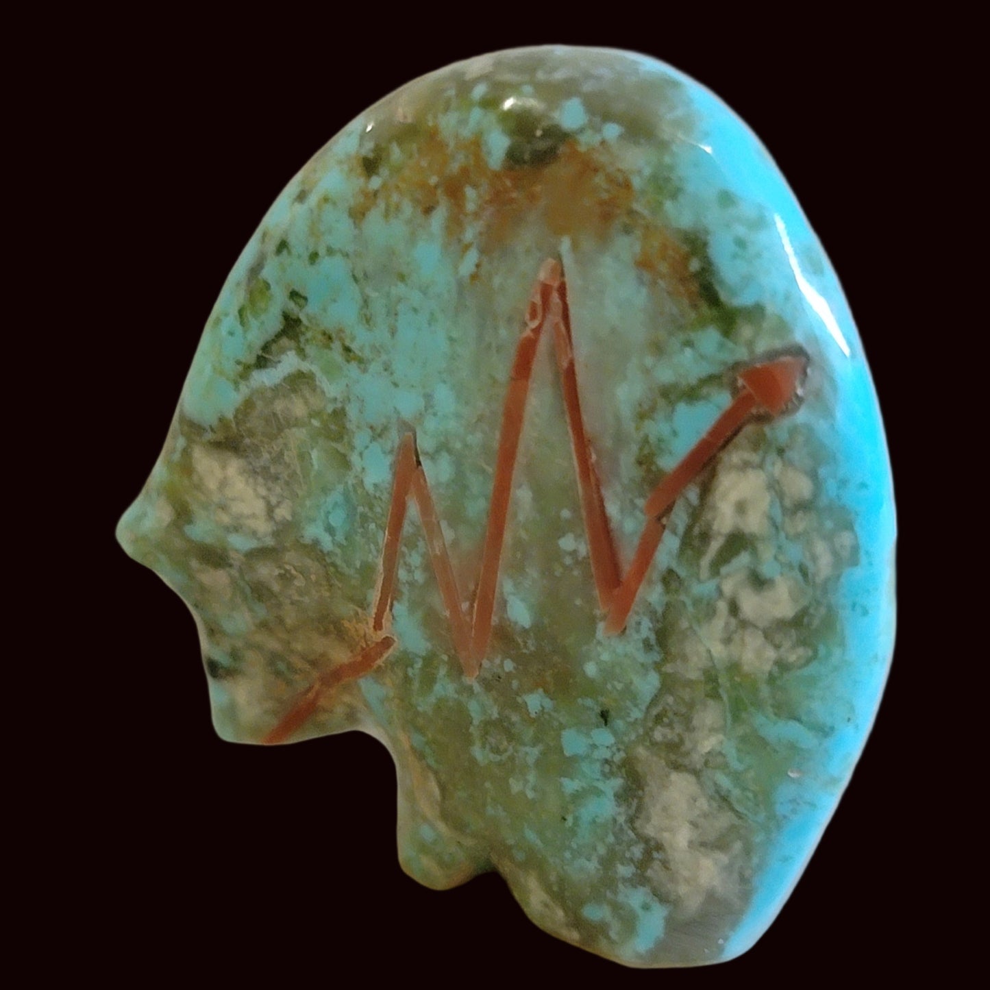 Turquoise Medicine Bear w/Coral Heartline Zuni Fetish