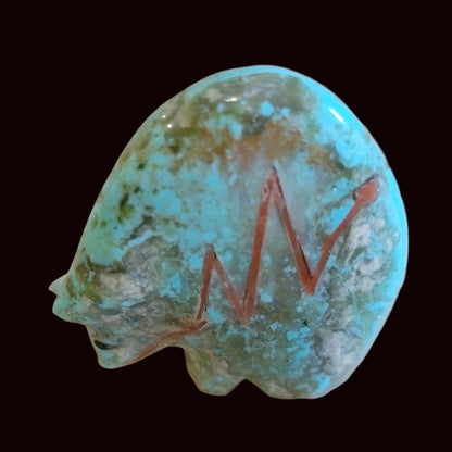 Turquoise Medicine Bear w/Coral Heartline Zuni Fetish