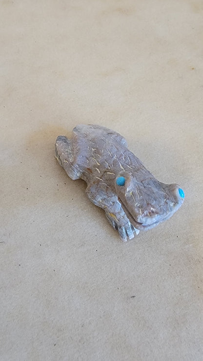Eye of Toad is Turquoise! Zuni Fetish