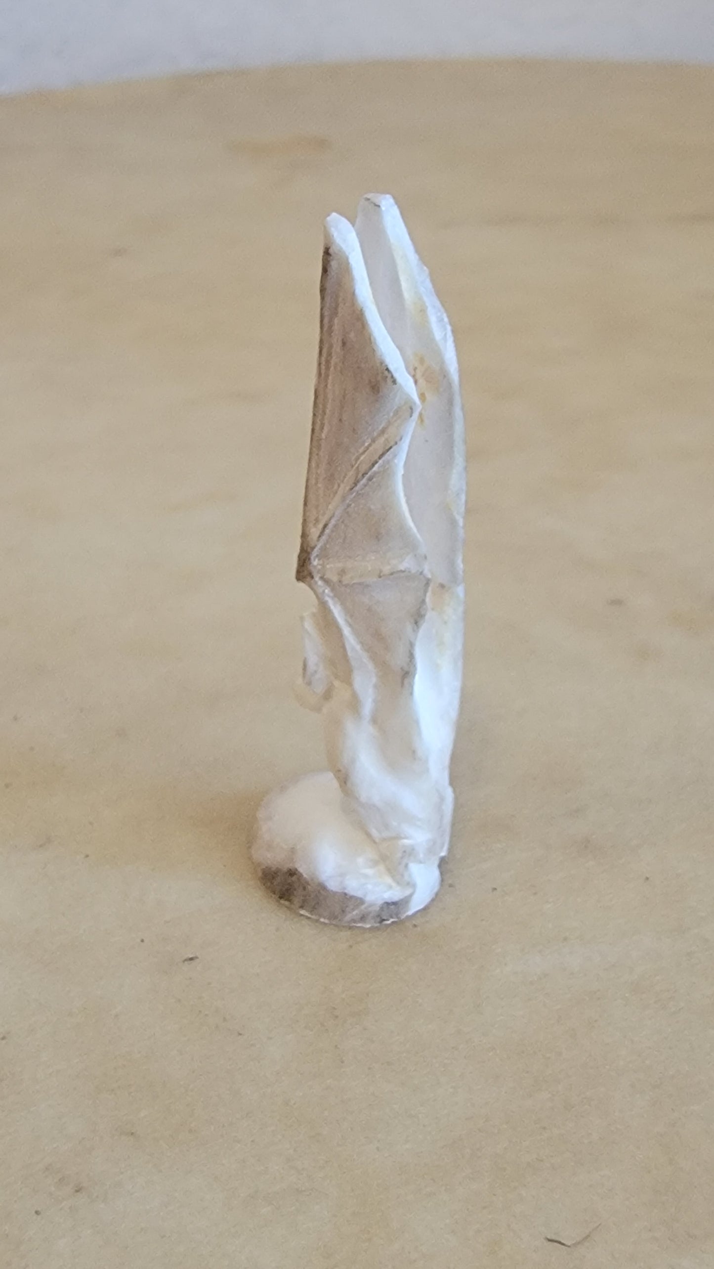 Antler Bat Ready for Flight Zuni Fetish
