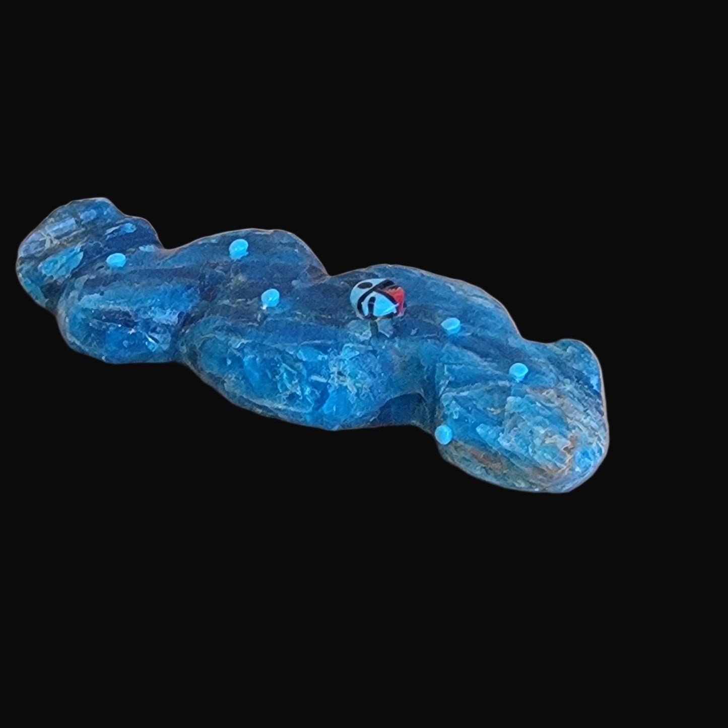 Blue Optic Reptile/Snake Zuni Fetish