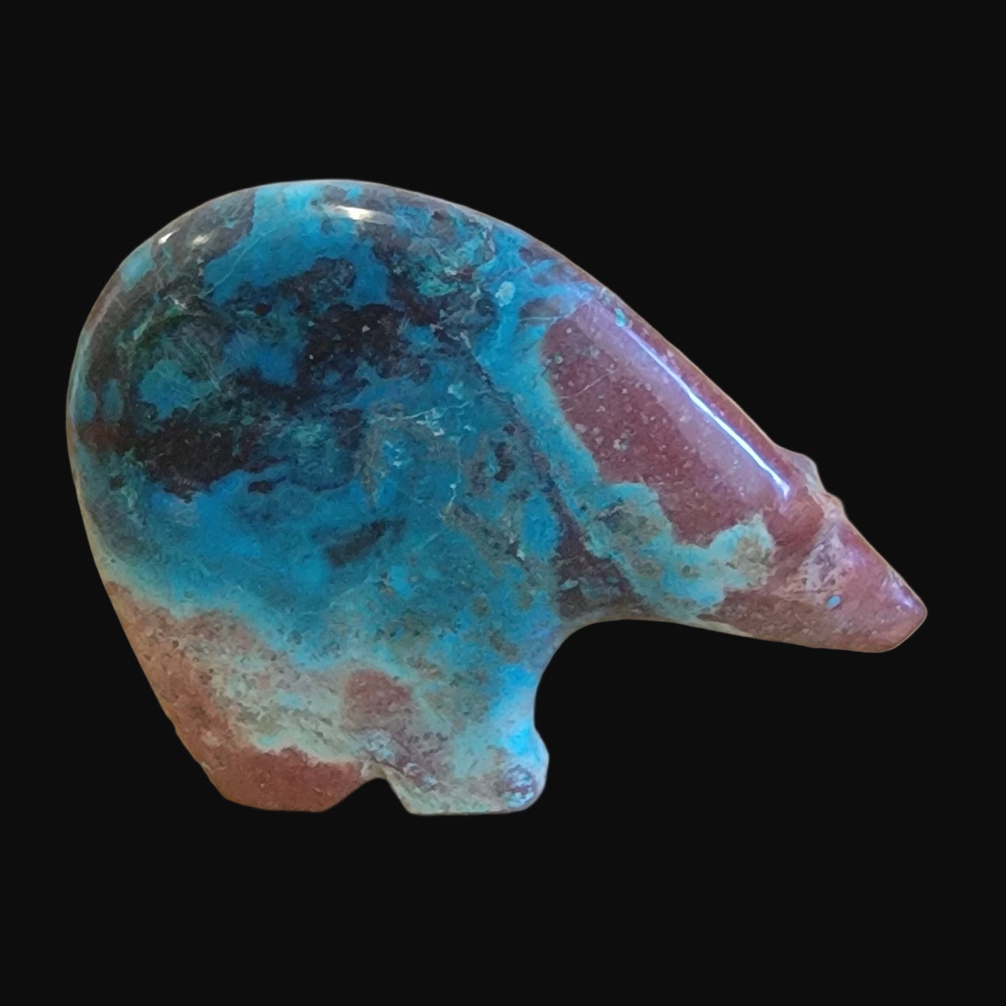 Powerful and Beautiful Chrysocolla Medicine Bear Zuni Fetish