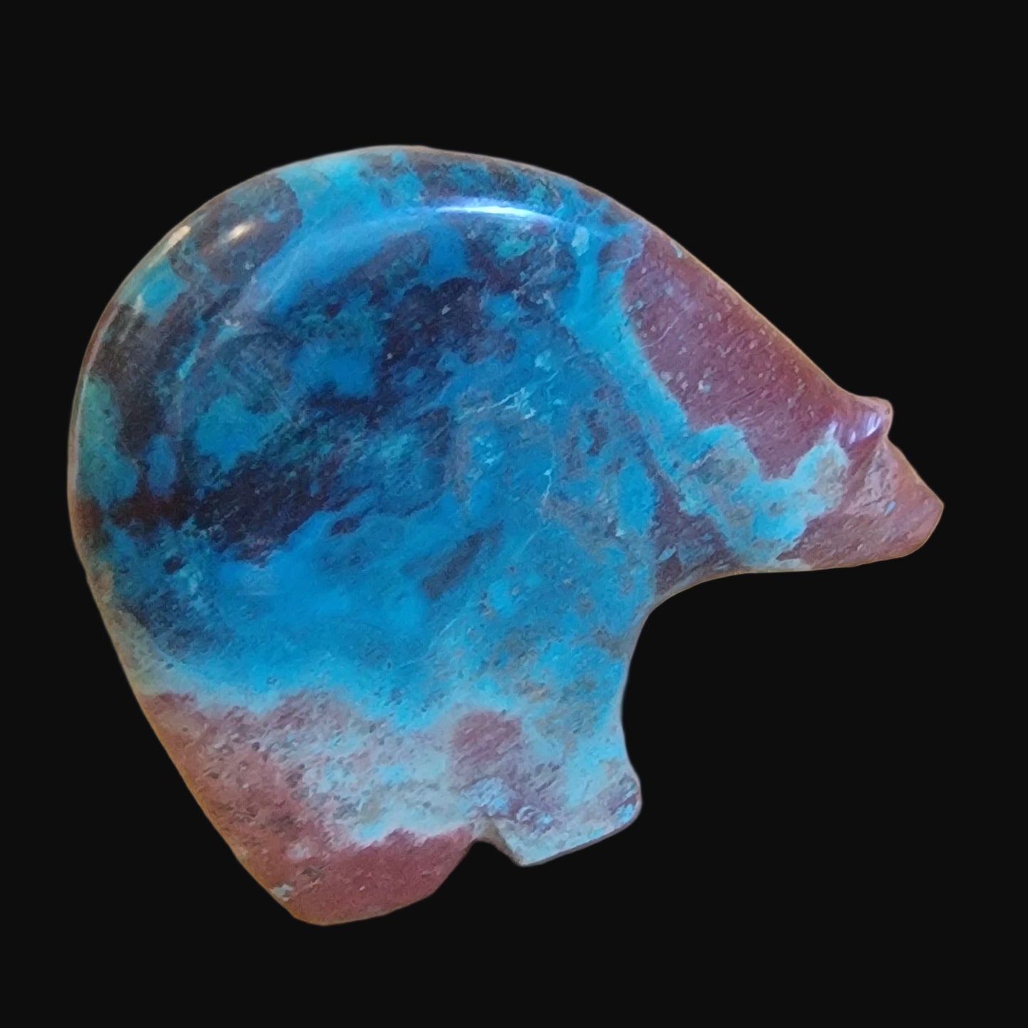 Powerful and Beautiful Chrysocolla Medicine Bear Zuni Fetish