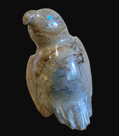 Picasso Marble Messenger Bird w/ Inlaid Necklace Zuni Fetish