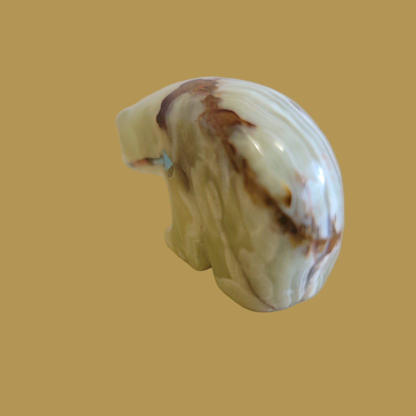 Elegant Onyx Bear w/ Colorful Heartline Zuni Fetish