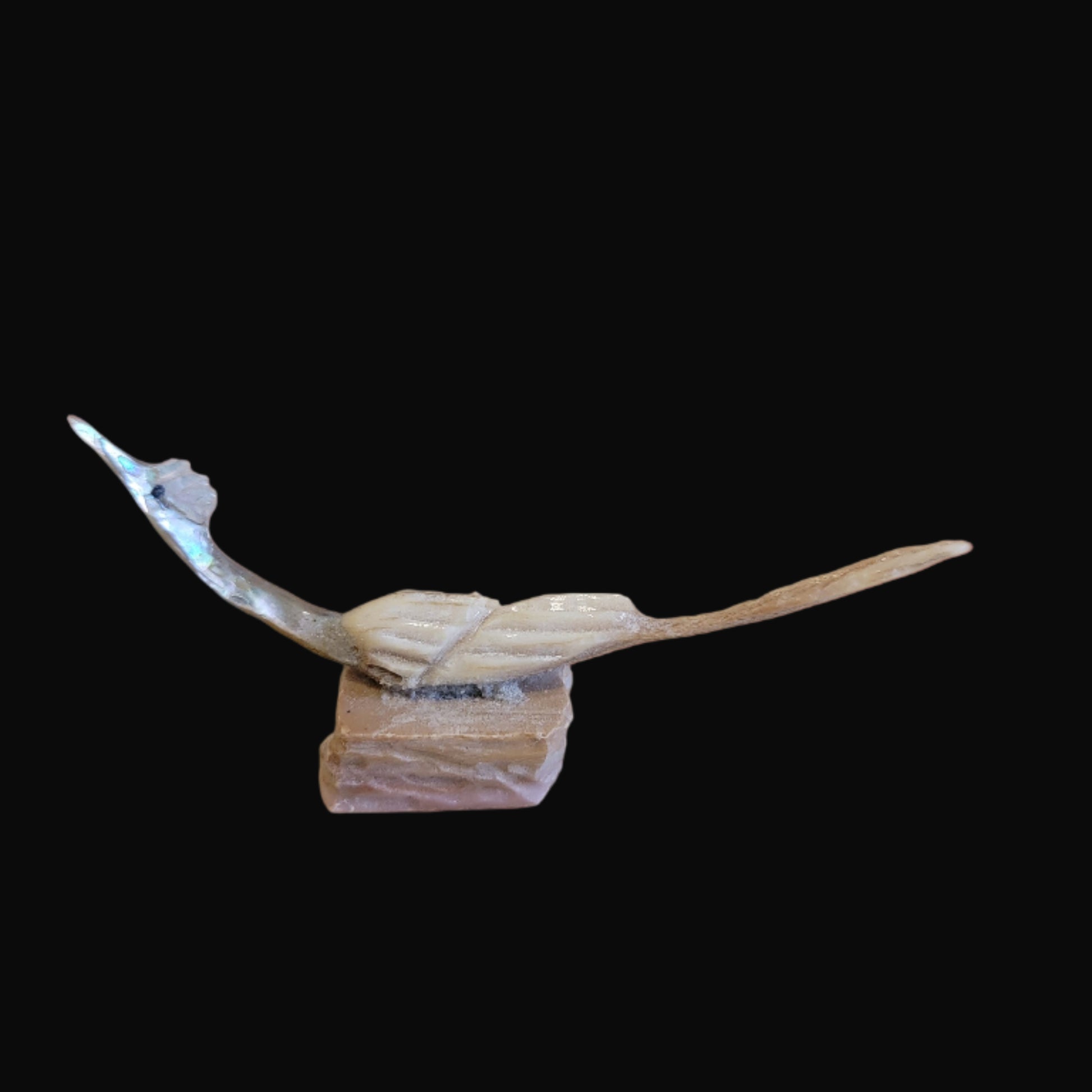 Multi Stone and Shell Roadrunner Zuni Fetish