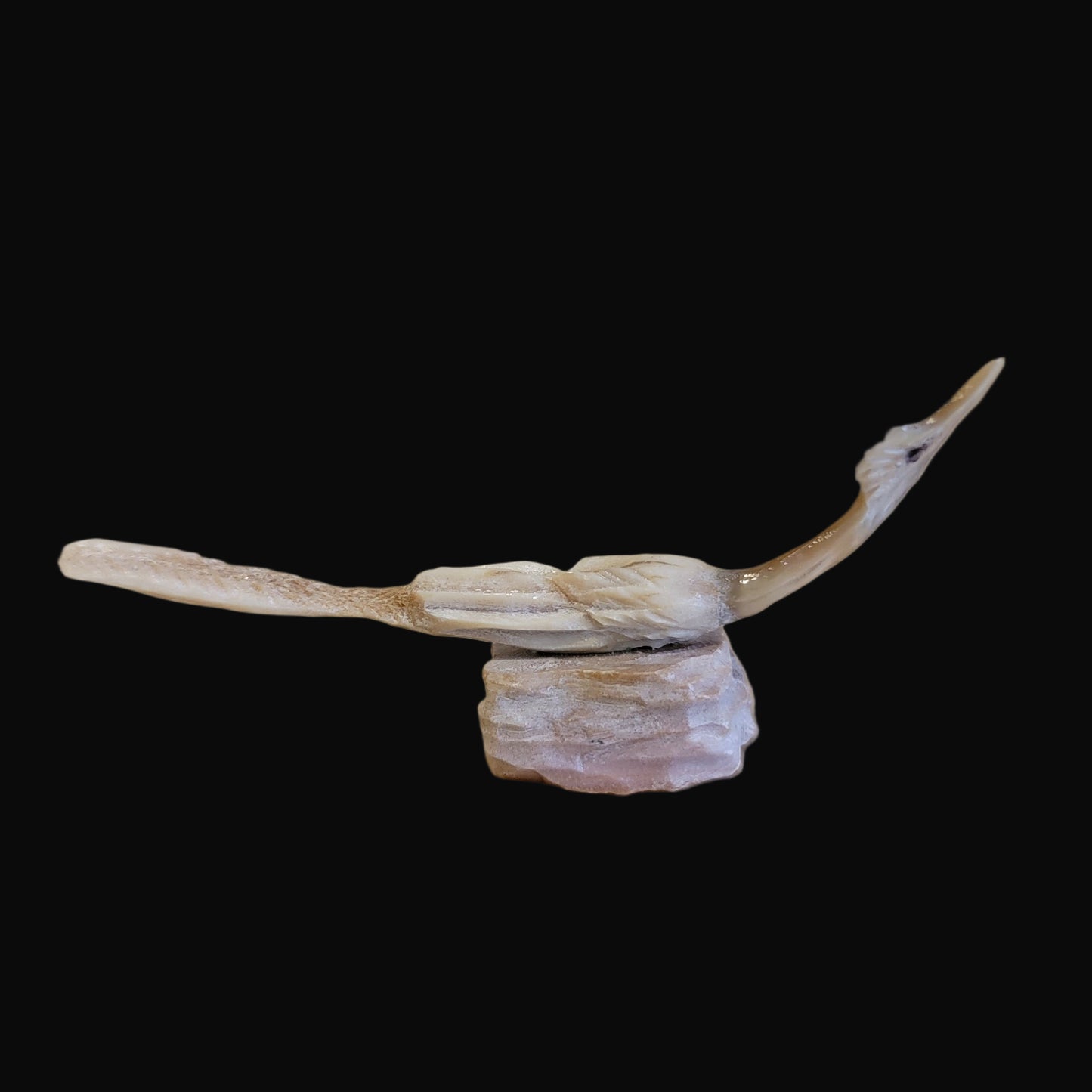 Multi Stone and Shell Roadrunner Zuni Fetish