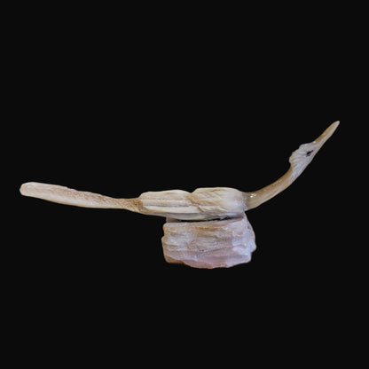 Multi Stone and Shell Roadrunner Zuni Fetish
