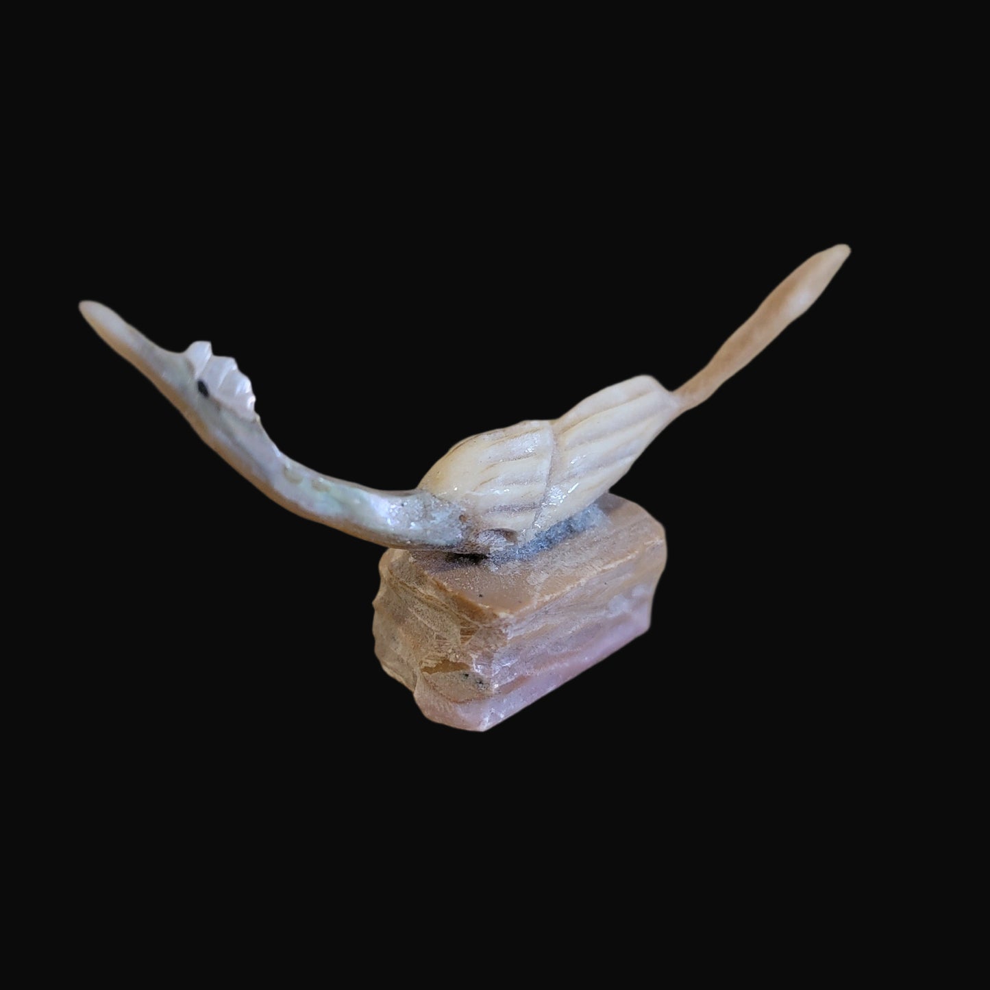 Multi Stone and Shell Roadrunner Zuni Fetish